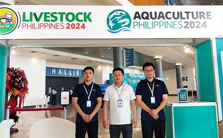 Our Journey to the Philippines