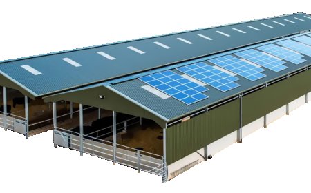 Application and advantages of steel structure in farrowing pen piglet cabin！
