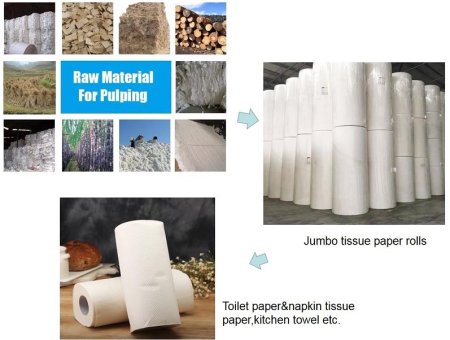 Can Bamboo Be Used For Paper Making?