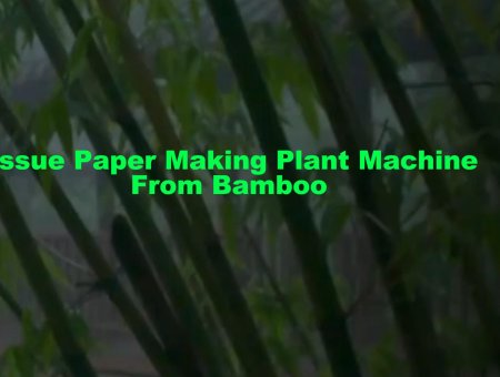 BAMBOO PULP PAPER MAKING MACHINERY: THE TECHNOLOGICAL POWER OF GREEN PULP MAKING