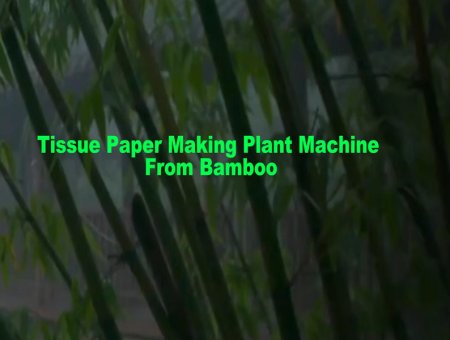 BAMBOO PULP PAPER MAKING MACHINERY: THE TECHNOLOGICAL POWER OF GREEN PULP MAKING