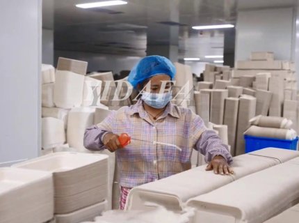 Sugarcane Bagasse Pulp Paper Plate Making Machine Price