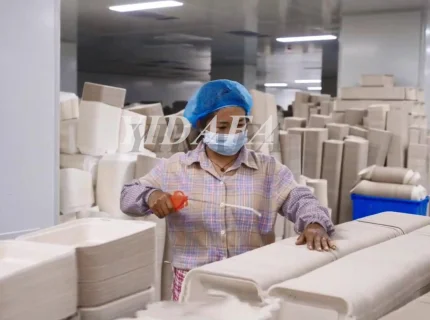 Sugarcane Bagasse Pulp Paper Plate Making Machine Price
