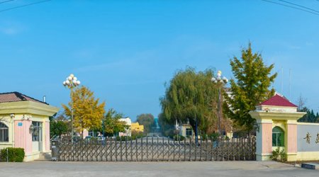 Ms. Wang Xiaohan has been deeply engaged in the automotive seal manufacturing industry for many years