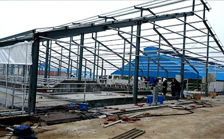 Establo de vacas en Rusia