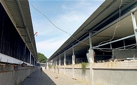 Casa de cerdos en Filipinas