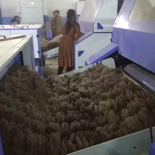 Afghanistan Customers