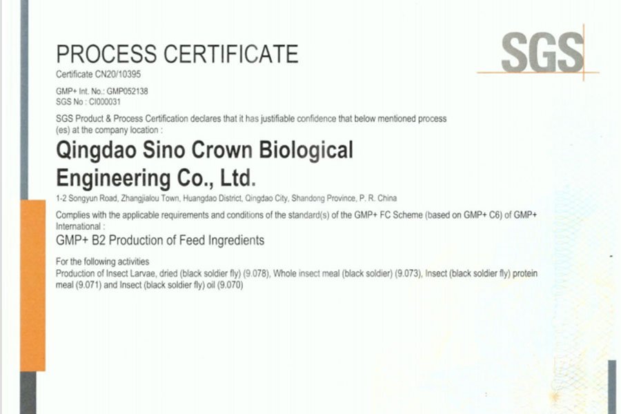 EU GMP+ Certification