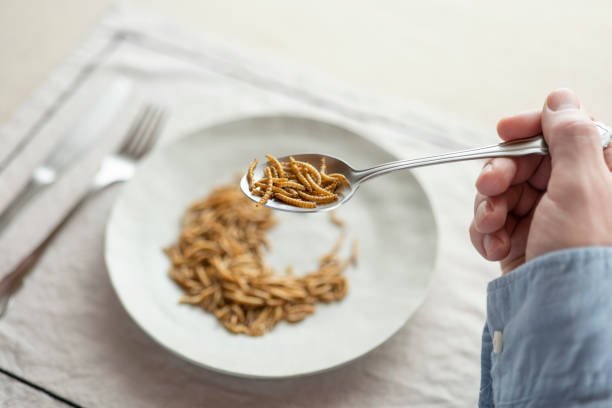 istockphoto-2200336815-612x612