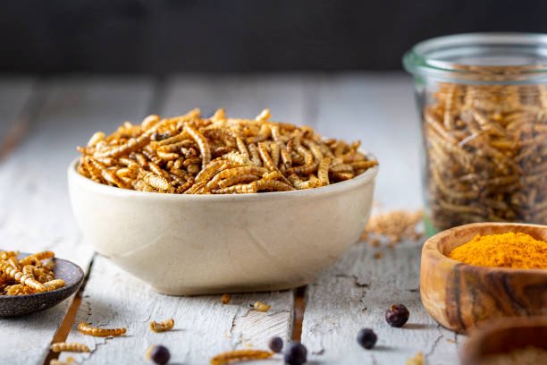 istockphoto-1500024871-612x612