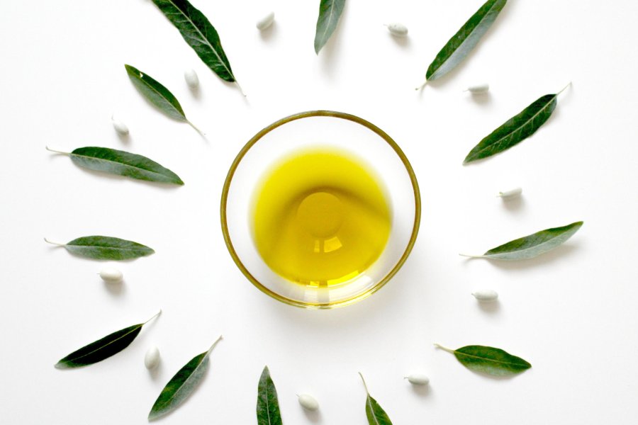 New Study Reveals: Black Soldier Fly Larvae Oil Has Significant Anti-Inflammatory Effects on Immune Cells