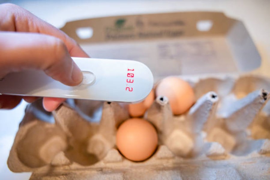 Black Soldier Fly Larvae Protein: a Nutritional Revolution In Breeder Chicken Feed, Enhancing Egg Production and Reproductive Capacity.