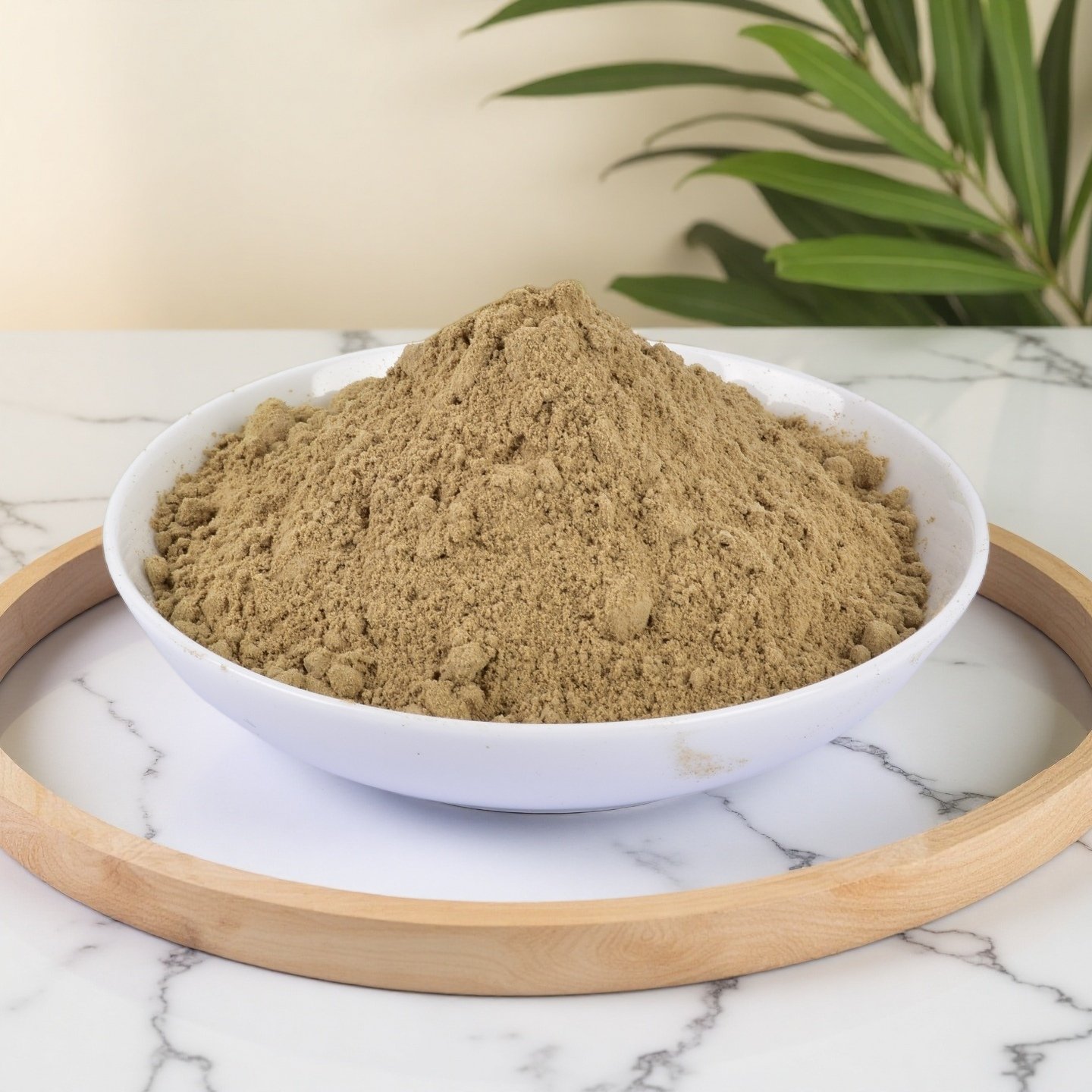 Defatted black soldier fly larvae Protein powder
