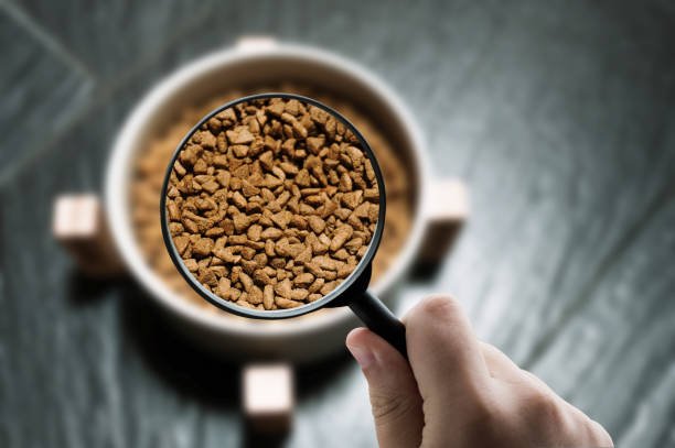 Defatted Black Soldier Fly Powder Bulk
