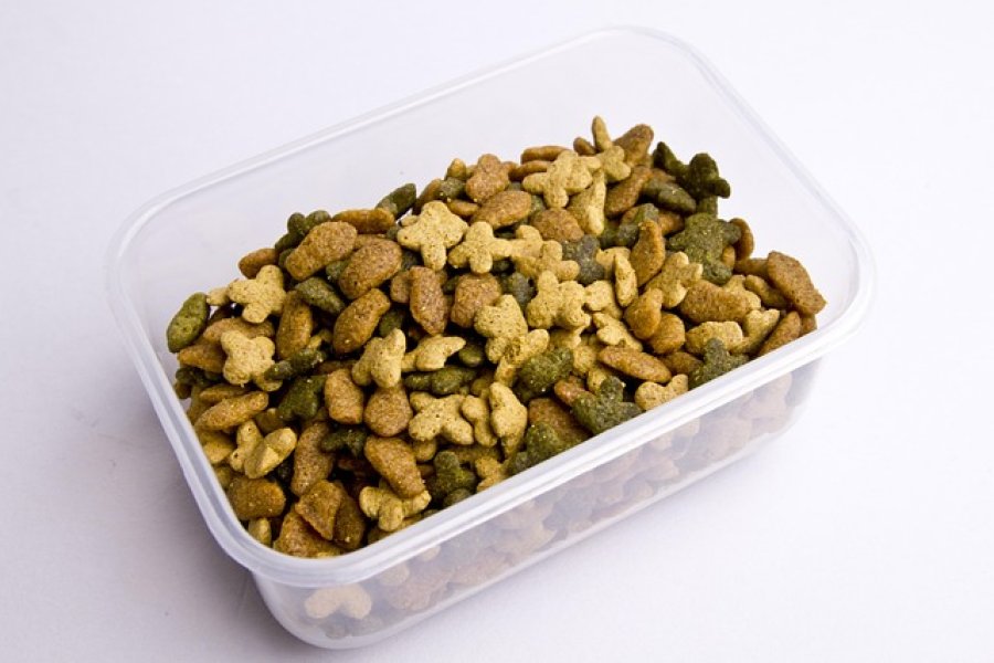 Why is Black Soldier Fly Defatted Insect Powder a Suitable Ingredient for Pet Food?