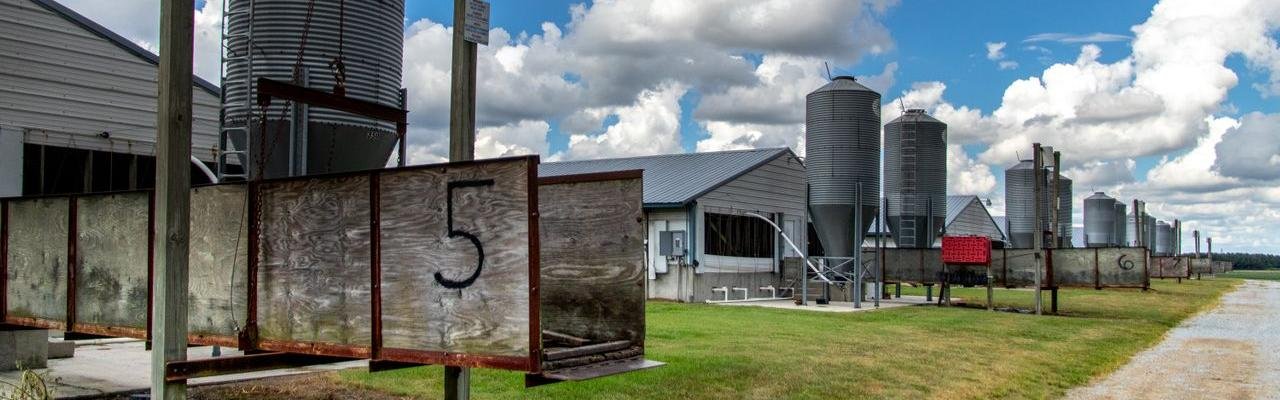 breed base(1)