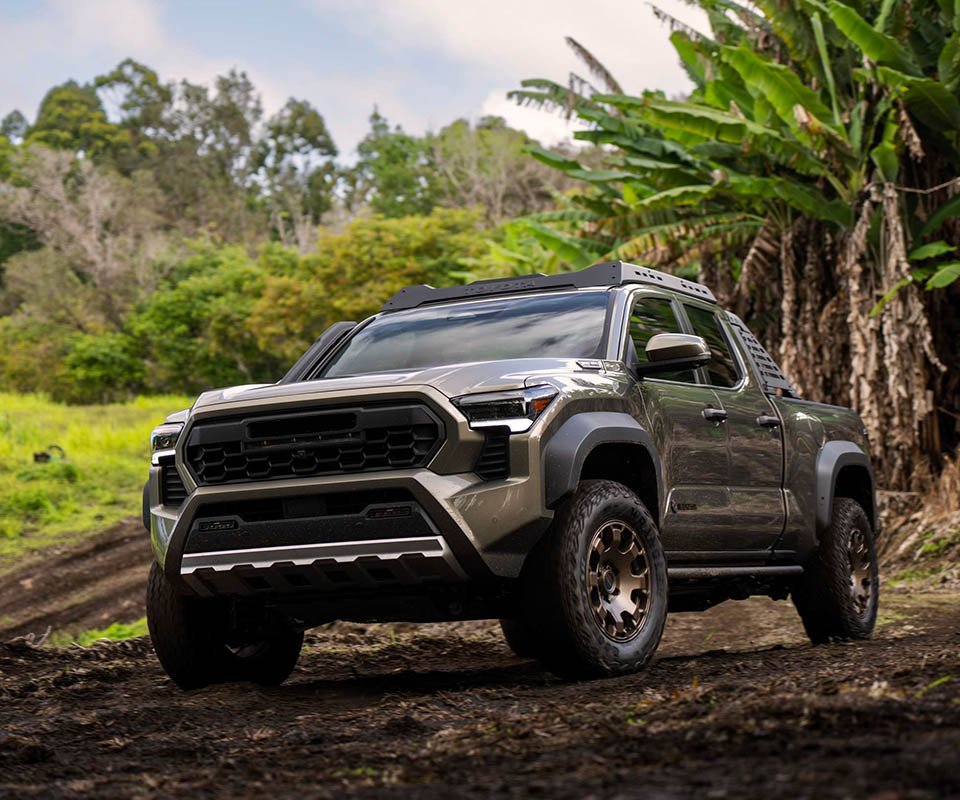 Unique Tiger-Tooth-Shaped Tread Blocks