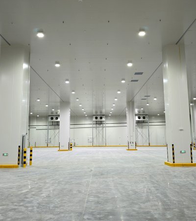 Logistics Cold Storage Room with 150mm Panels for Meat Storage