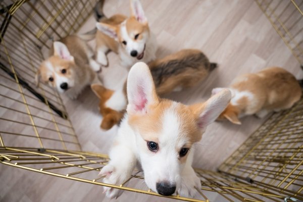 he Crate as a Creative Play Area