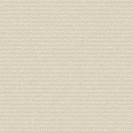 815qEo6teIL._AC_SX679_