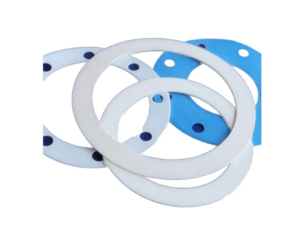 PTFE Gasket