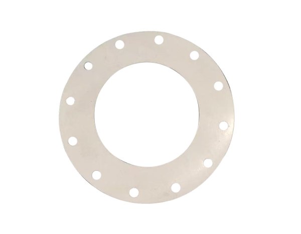 PTFE Gasket With Holes