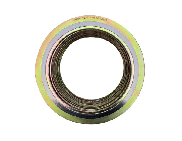 CGI Type Spiral Wound Gasket