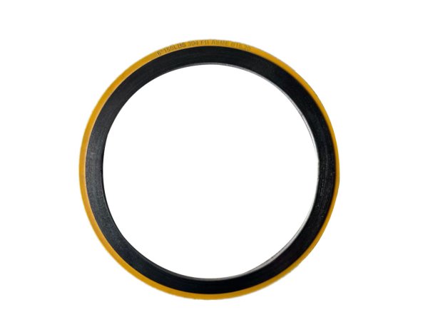 CG-Type Spiral Wound Gasket