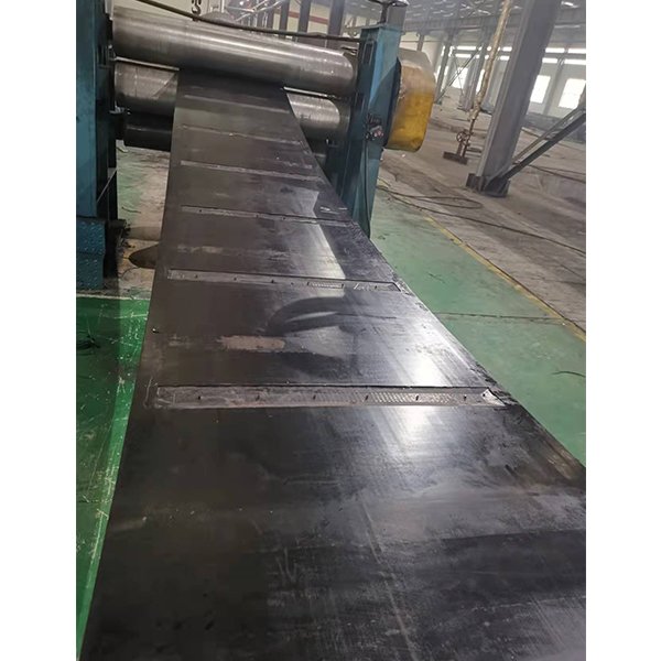 Wire rope bucket elevator conveyor belt