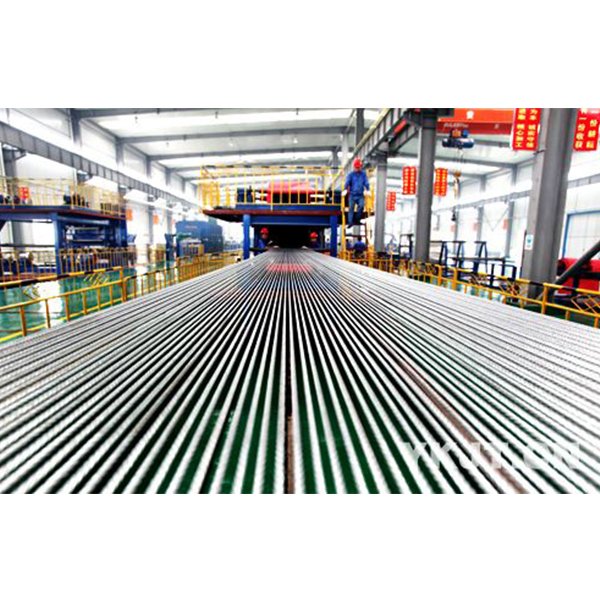 Steel cord conveyor belt