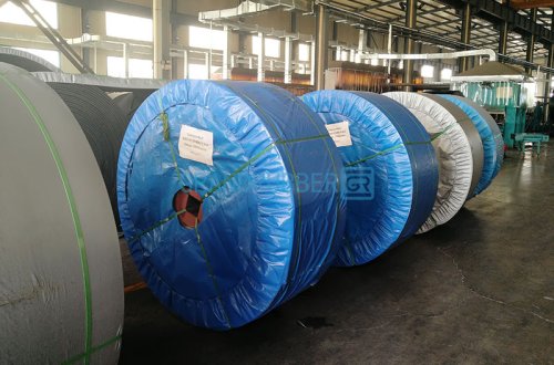 Canvas Conveyor Belt