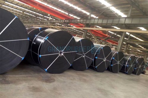 Special Purpose Conveyor Belt