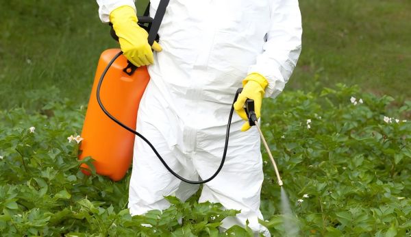 Gardeners work in protective clothing