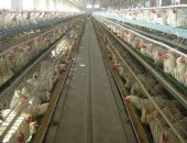 #_0000_亮度_对比度 2