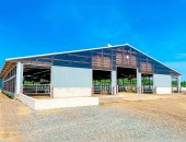 #_0005_亮度_对比度 1