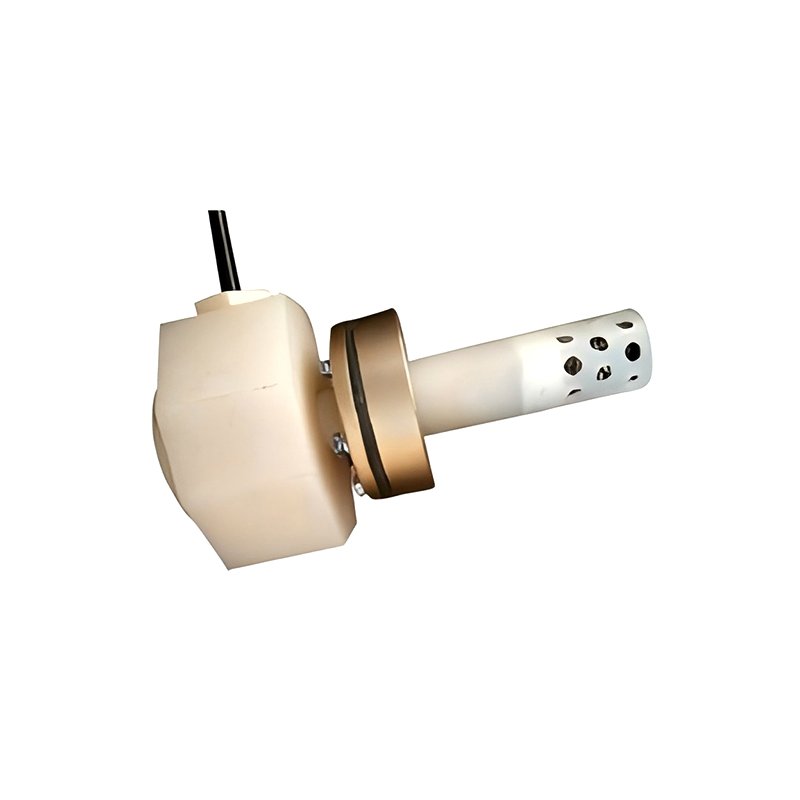 부식 방지를 위한 내구성 있는 백금 코팅 양극