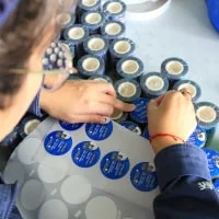 Flexible Customization Options