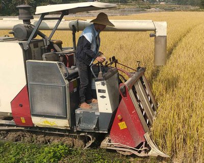 Crawler harvester