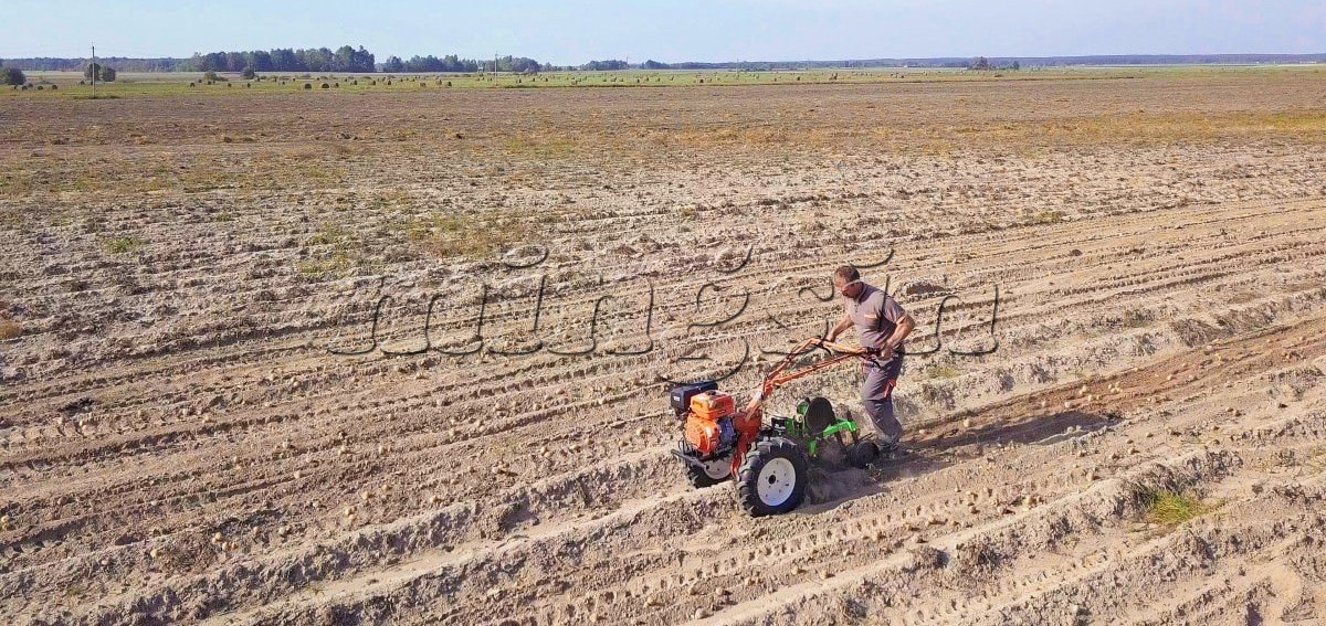 Cultivator-20.JPG