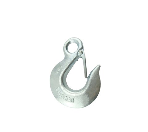 Eye slip hook with latch