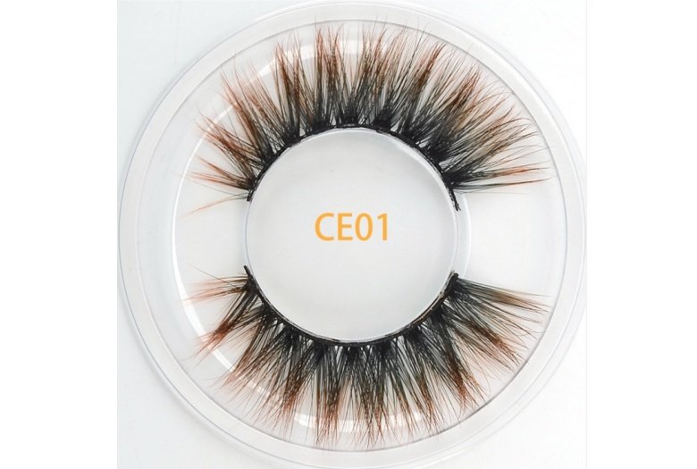 CE01-1