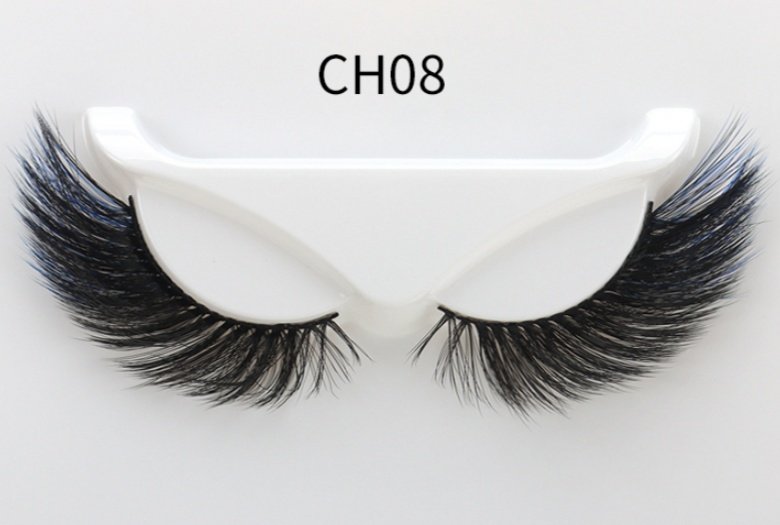 CH08