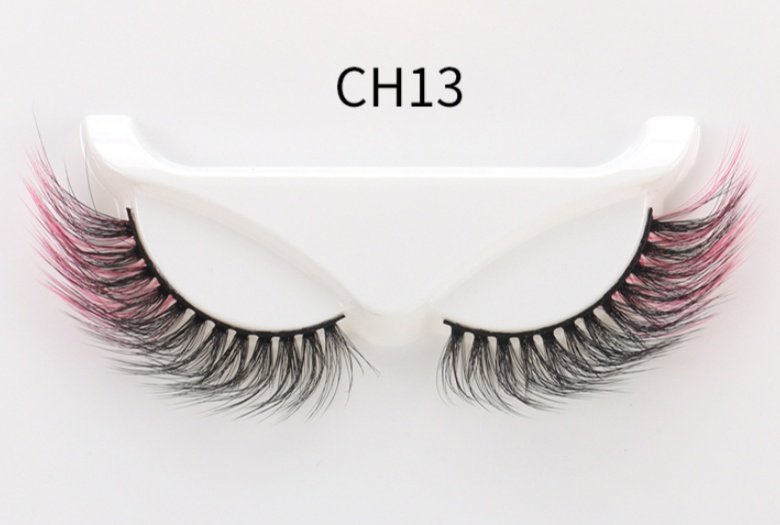 CH13