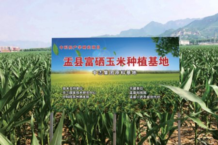 Yu County Selenium-rich Corn Planting Base