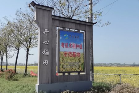 Longkang organic rice planting base (state-owned farm)