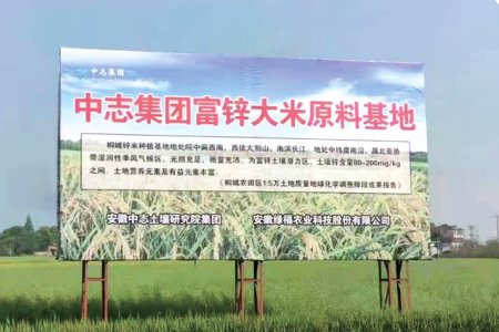 Tongcheng zinc rice planting base