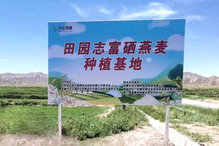 Qinghai Selenium-rich Oats Planting Base