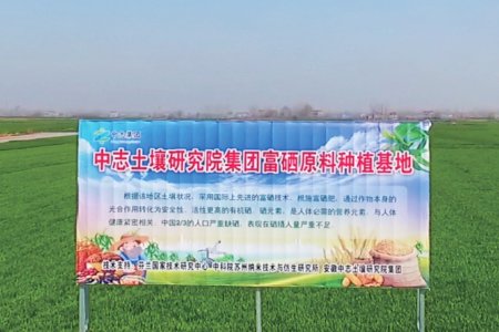 Huaiyuan Raw Material Planting Base