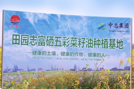 Taoyuan Selenium-rich Colorful Rapeseed Oil Planting Base