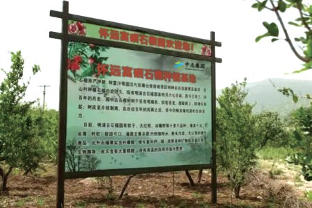 Huaiyuan Selenium-rich Pomegranate Planting Base